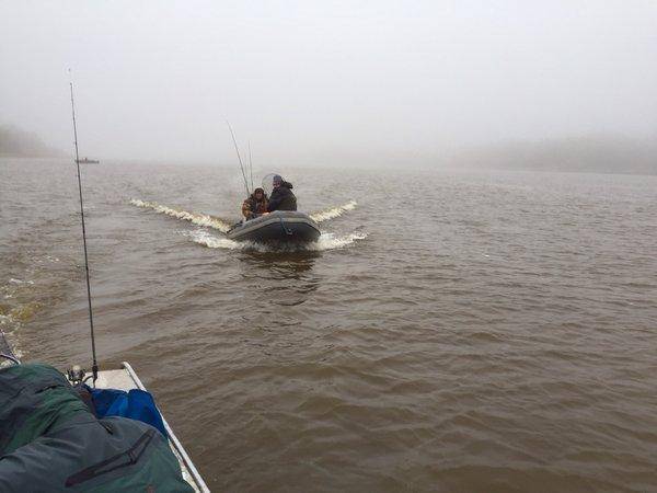 image.thumb.jpg.0eee57d8529c1ac8dc37f3db