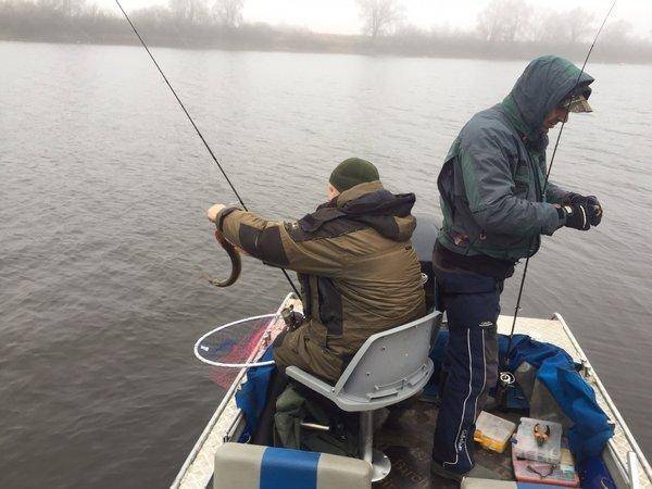 image.thumb.jpg.16af4da3803b0531b8297f13