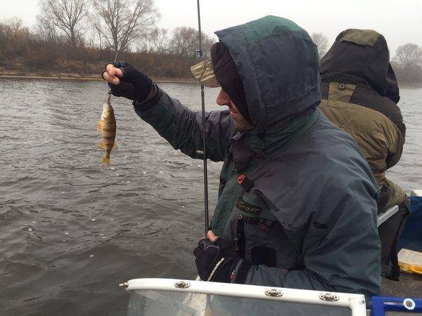 image.thumb.jpg.2b5d8c7daacc8eed8b437e4b