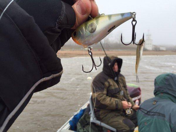 image.thumb.jpg.6268ceae23b710a4649fbb5b