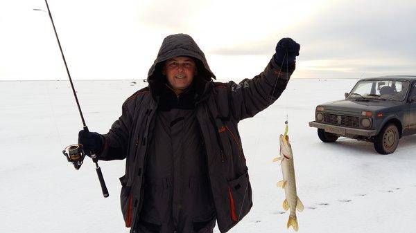 20151203_115743.thumb.jpg.567825336b08c7