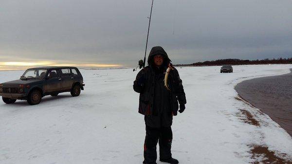 20151203_122459.thumb.jpg.214e5e03ec0bdc