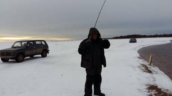 20151203_122500.thumb.jpg.624633bf01384d