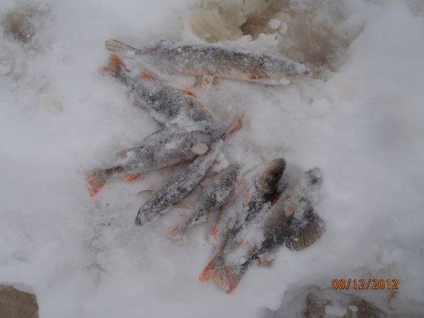 наволок открытие 016.JPG