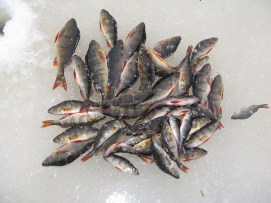 565de88dba12e_202013..thumb.png.8488b1ad