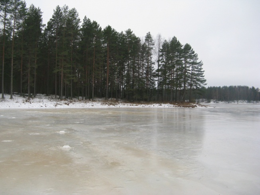 565de89464405_202013..png2.thumb.png.2c6