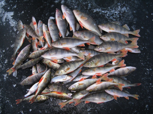 565de922d6ee4_222014..png2.thumb.png.e68