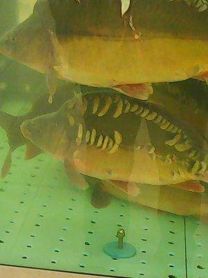 Рыбалка 016.jpg