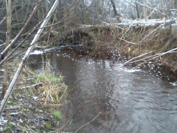 566d4ac24bcc1_-0036.thumb.jpg.0703368644