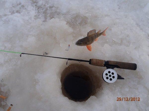 зима 2013 аркацкий 023.JPG