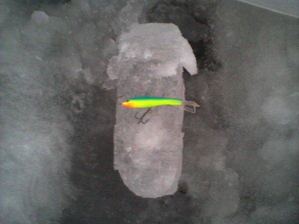 5676bc20115c3_-0038.thumb.jpg.1aeb3c062d