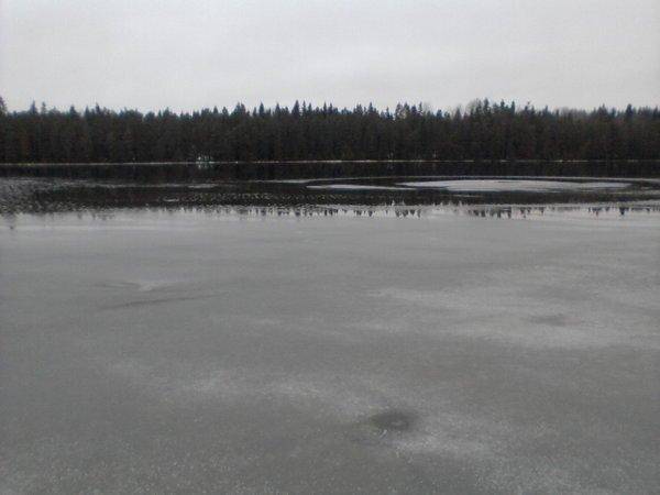 5676bc3ad57d7_-0048.thumb.jpg.9f19e5a2ed