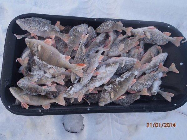 композитор и окинь 007.JPG