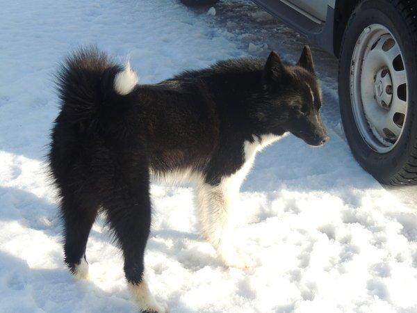 567ad1609b16c_23(3).thumb.JPG.c1ff3e505c