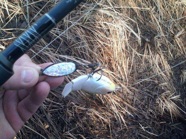 567ecea52b7b1_0939.thumb.jpg.4f0f672a10e