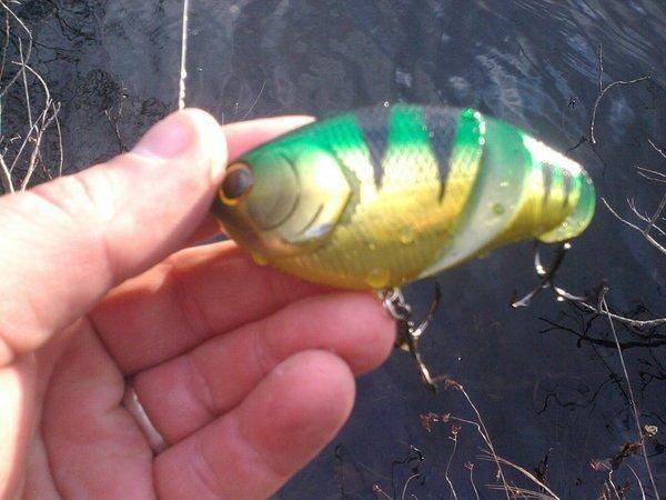 567ecfd31ae9b_0940.thumb.jpg.1089a900363