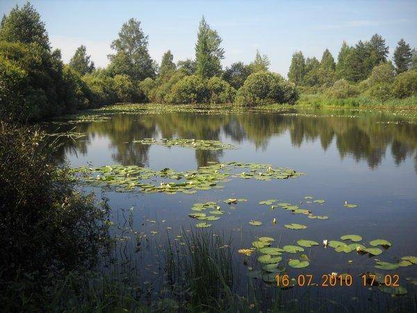 Баклань 037.jpg