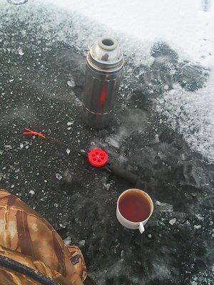 5683ec250501e_2015007.thumb.jpg.025d9923