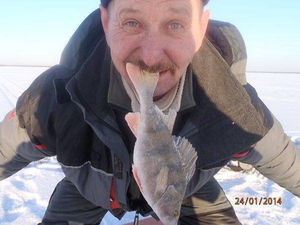 арк на 2014 006.JPG