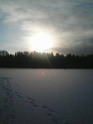 5685552432054_312015001.thumb.jpg.b43de7