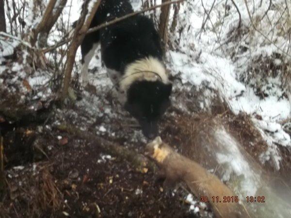 DSCF4188.thumb.JPG.7bfa886ea25277e3255fe