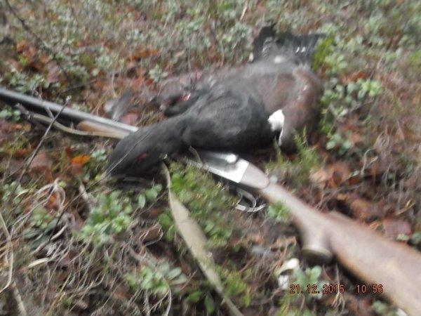 DSCF4216.thumb.JPG.777e6b433b7334bd7f855