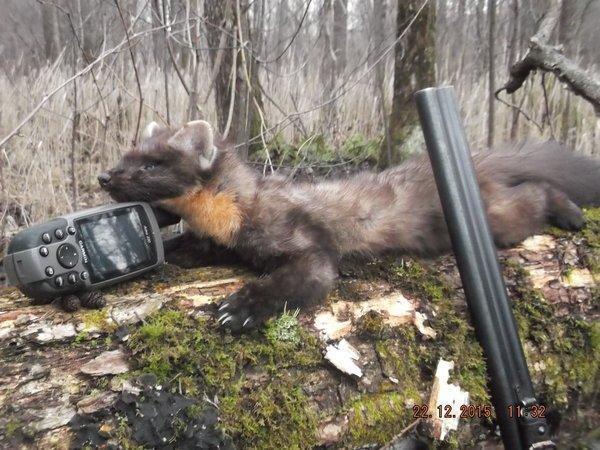 DSCF4227.thumb.JPG.6b3042c54166084526f47