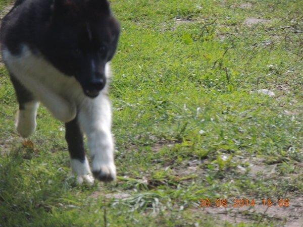 DSCN4030.thumb.JPG.cdca04313507a8b7d203b