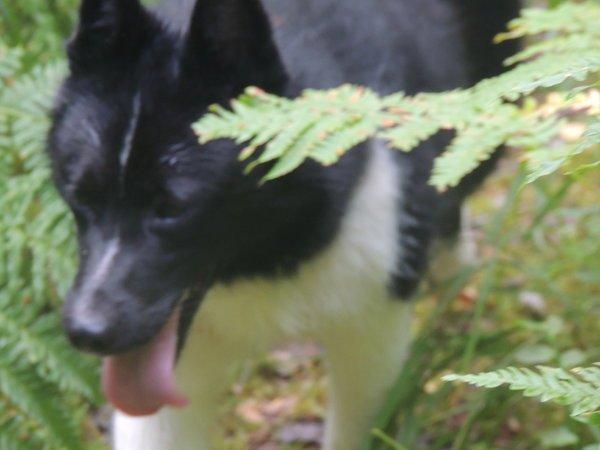 DSCN5787.thumb.JPG.1d14cd3e0621eed6d4f61