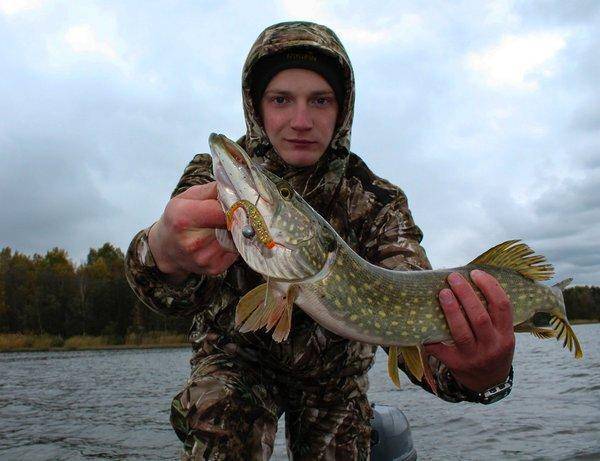 IMG_0150.thumb.jpg.237809a68afb87980928f