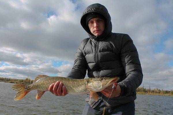 IMG_0193.thumb.jpg.cf154e170beb2428f0d6c