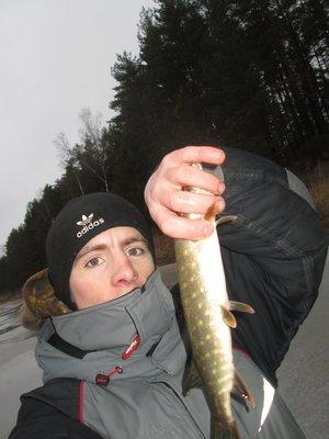 IMG_1044.thumb.JPG.a11e7cc8967e84ec9bae3