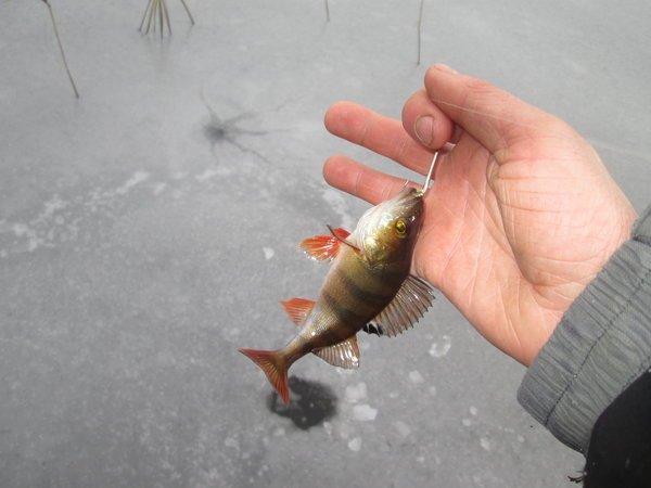 IMG_1045.thumb.JPG.ba67fcb82a8c37e513e00