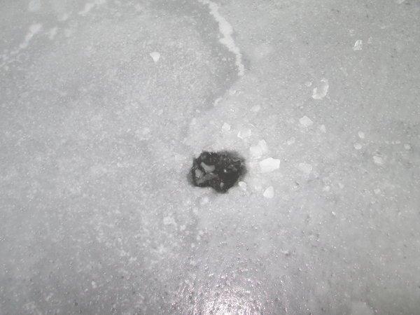 IMG_1047.thumb.JPG.461c6b655e54718a3fb15