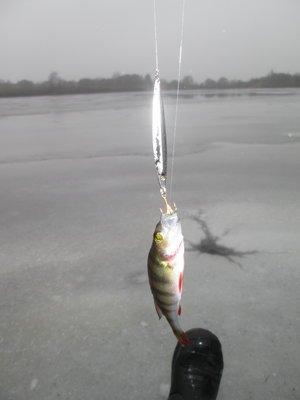 IMG_1048.thumb.JPG.523316c2b6f6a969ac33a