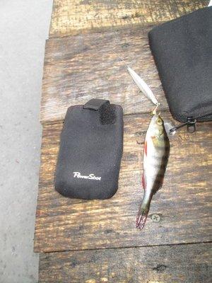 IMG_1049.thumb.JPG.59dbeb368da9c723f1b2a