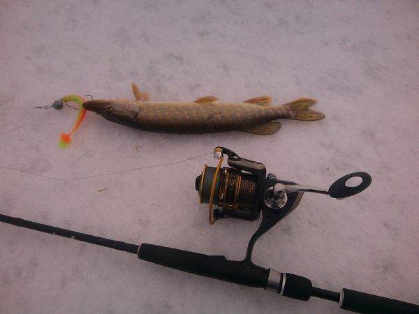 IMG_20151203_122548.thumb.jpg.1b903a39b2