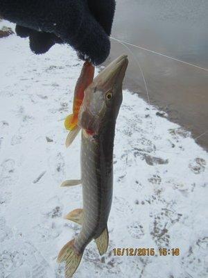 IMG_7743.thumb.JPG.d6923b7fa3a9838a9c9f7