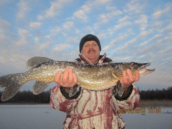 IMG_7809.thumb.JPG.c0fa7f01460ebaf7efea8