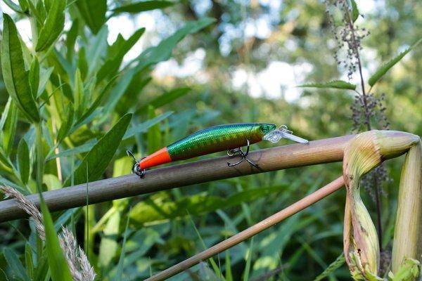 IMG_9759.thumb.jpg.982f9441ed7d0b3b8481a