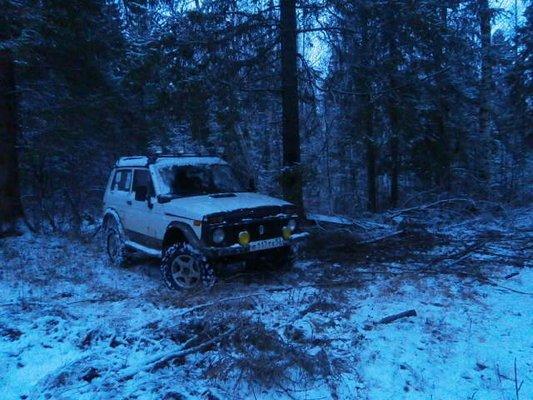 PB190369.thumb.JPG.ca0cd77d06bcf9b7929cb