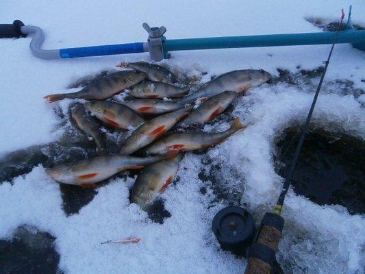 PB190377.thumb.JPG.39fabab356a3c39426922