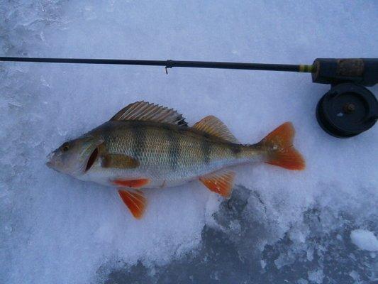 PB220379.thumb.JPG.3abbaaa34405f67d65003