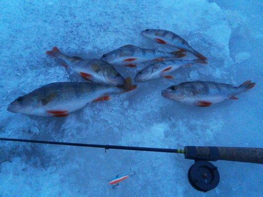 PB220386.thumb.JPG.59e74da5f94a8032d2d76