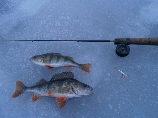 PB230387.thumb.JPG.bcf5cd52589a93fe437a5