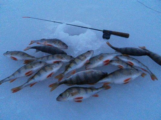 PB230388.thumb.JPG.e6ec897671604e1b2c084