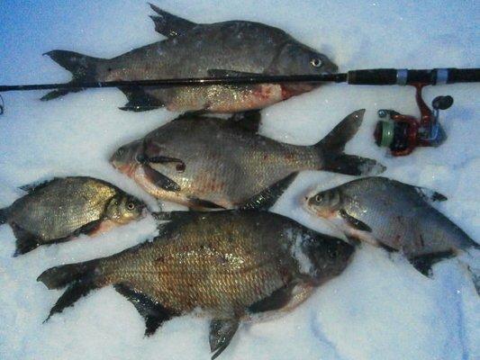 PB300403.thumb.JPG.f839469caf4c061e56a8c