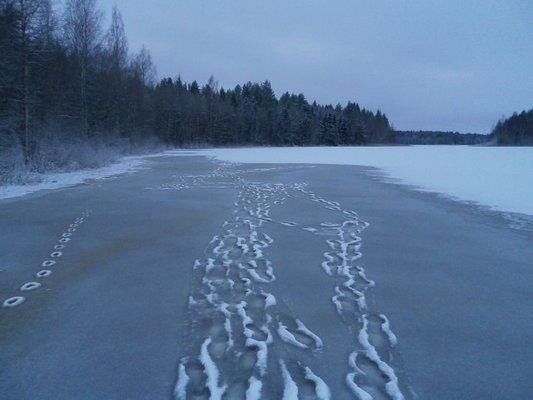 PC060413.thumb.JPG.9c972008770c3cfccfaf9