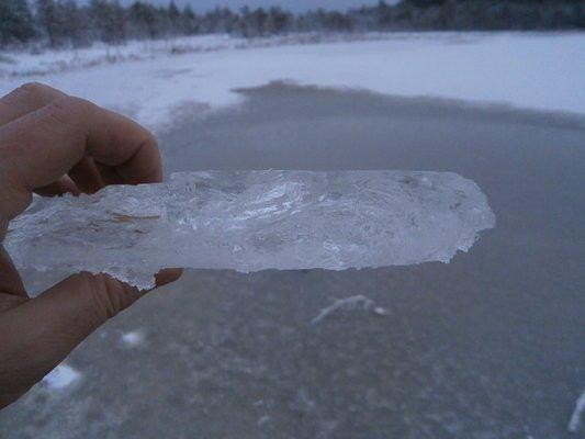 PC060418.thumb.JPG.d12eb69efb830223651c6