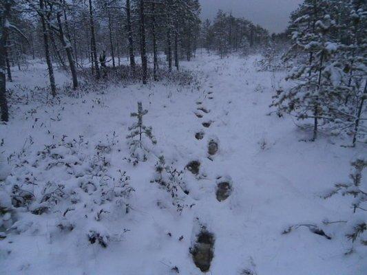 PC060424.thumb.JPG.413444505d8fda4b48d9f